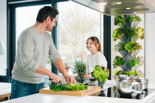 Indoor Garten: Trends, Entwicklungen - so geht's