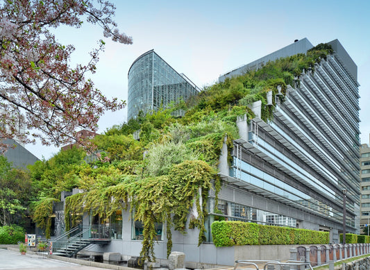Urban gardening auf Balkonen