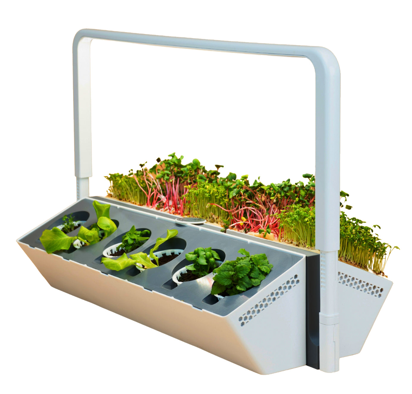 greenyGROW