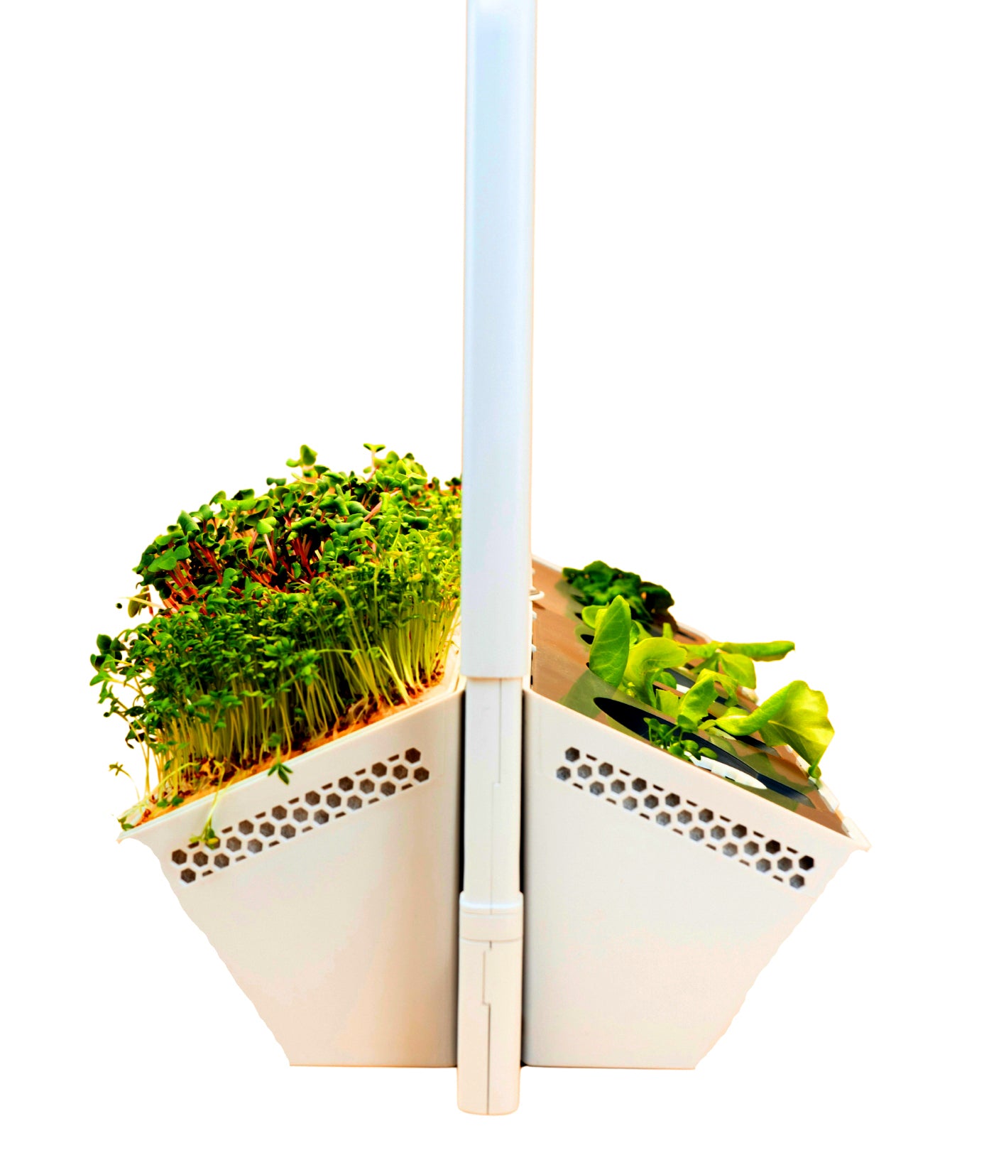 greenyGROW