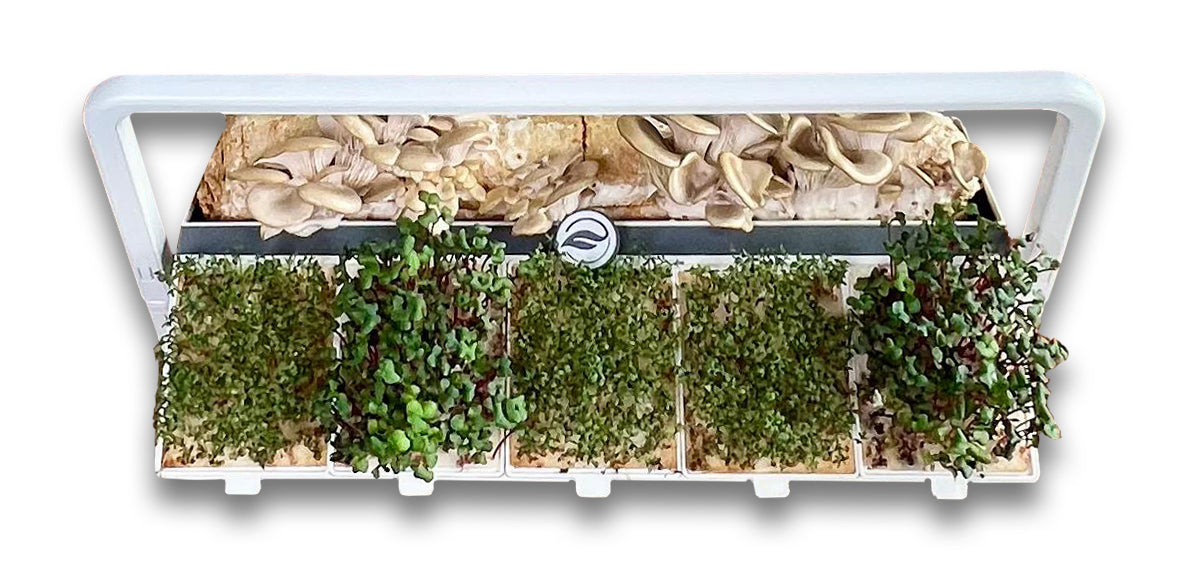 greenyGROW