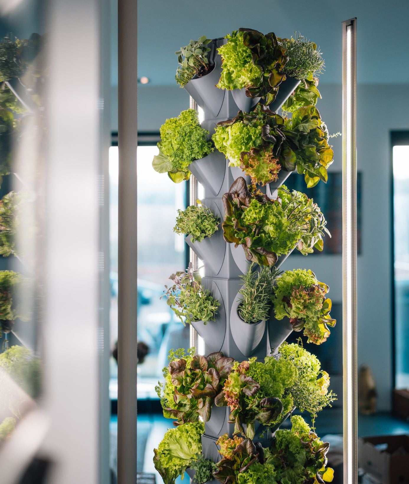 greenyGARDEN HOME