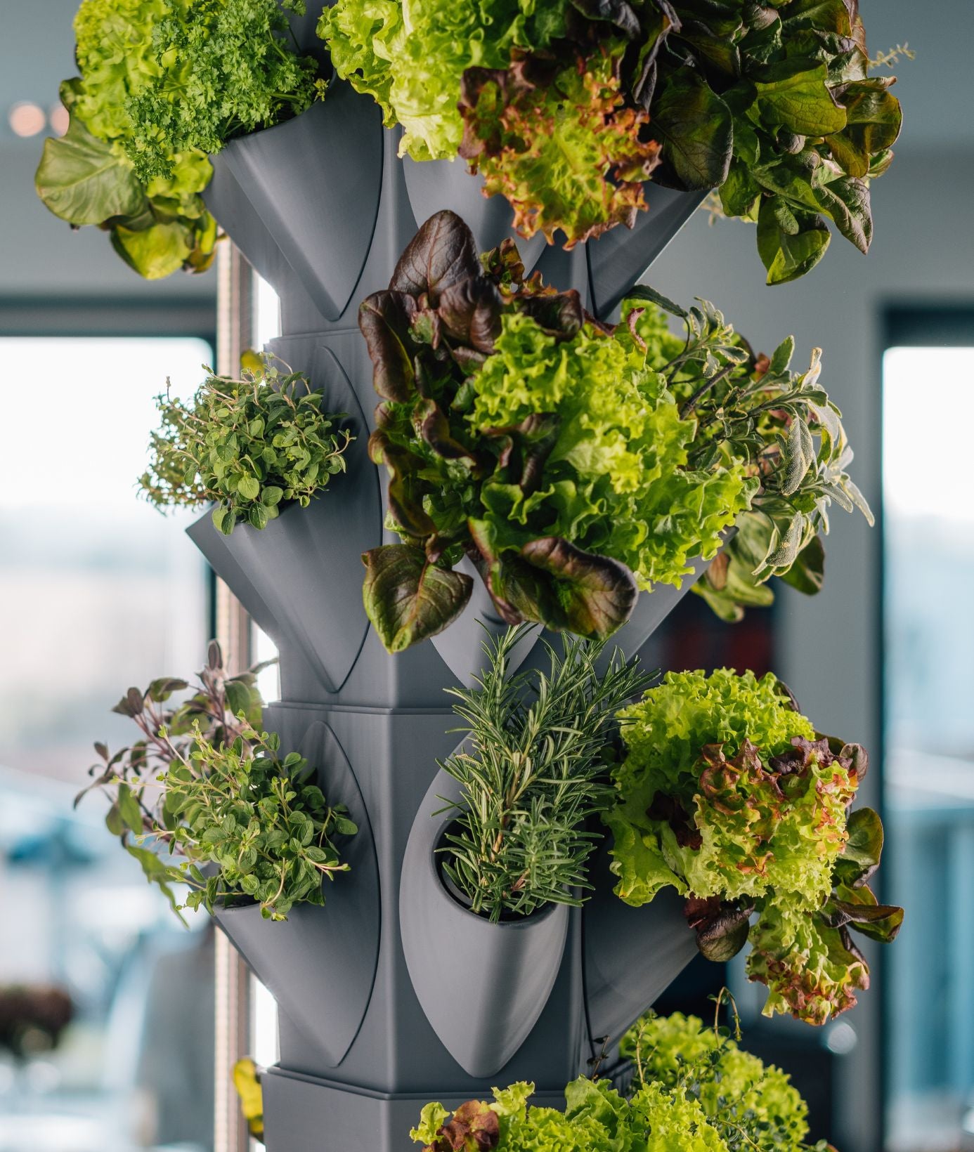 greenyGARDEN HOME