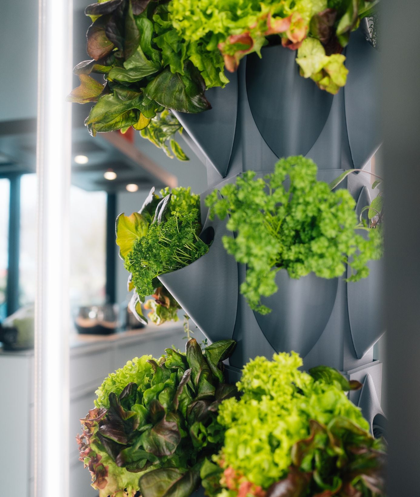 greenyGARDEN HOME