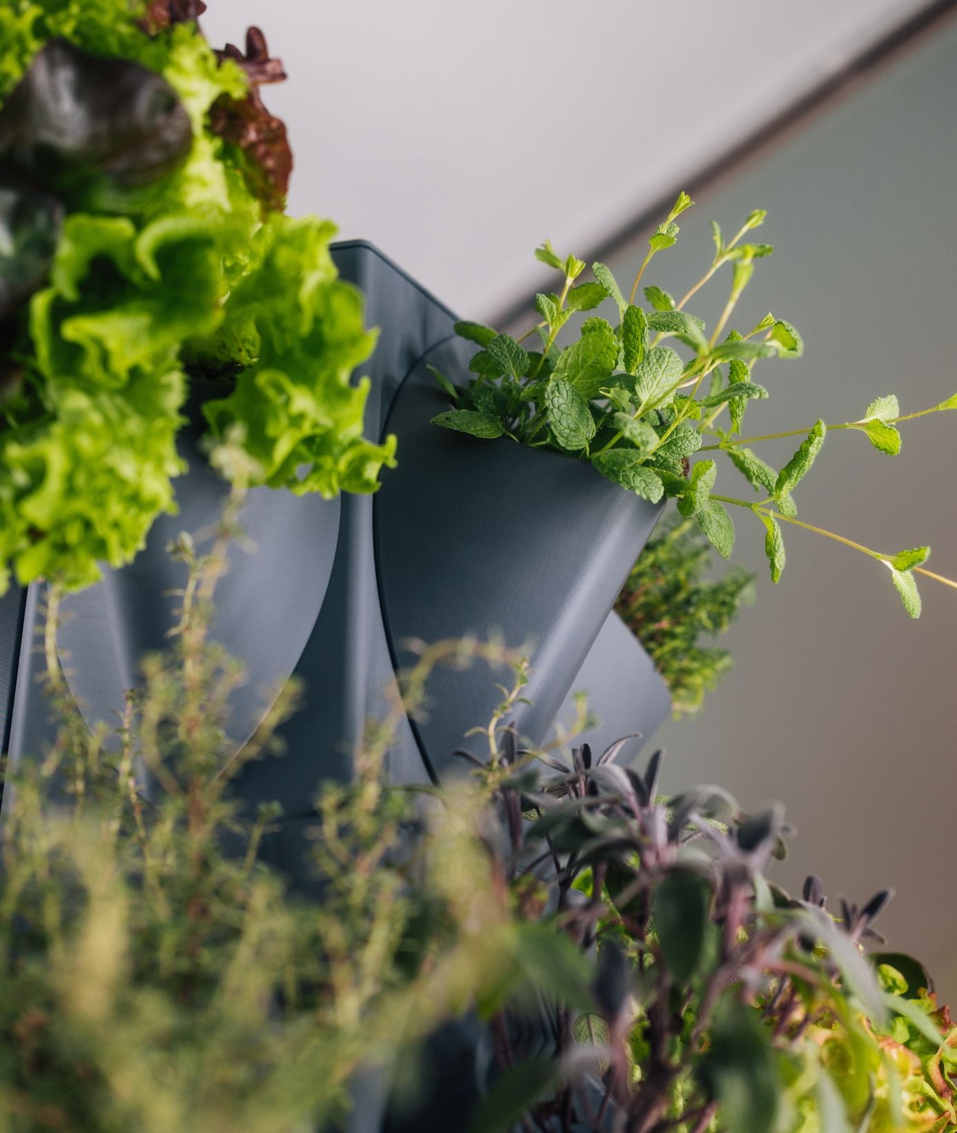 greenyGARDEN HOME