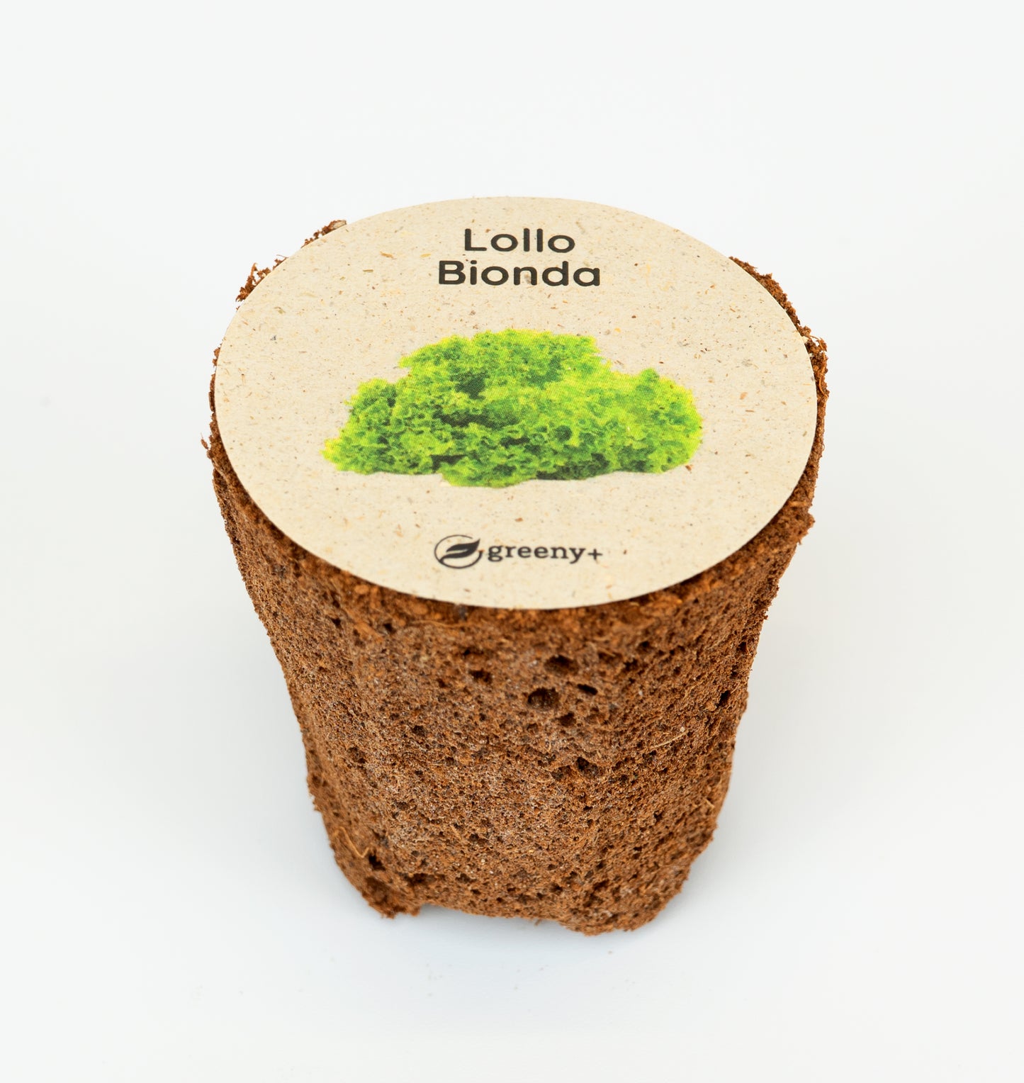 greenySEED BOX