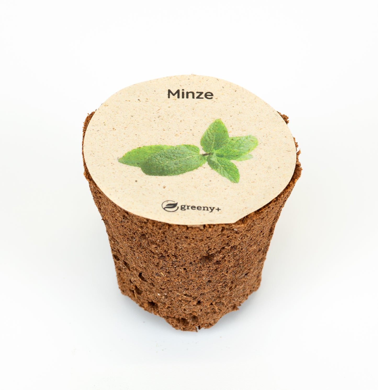 Grüne Minze 6er-Pack