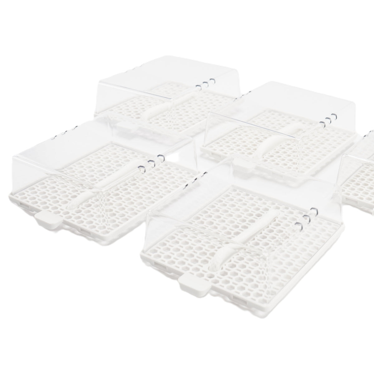 Microgreen-Trays (5er-Set)