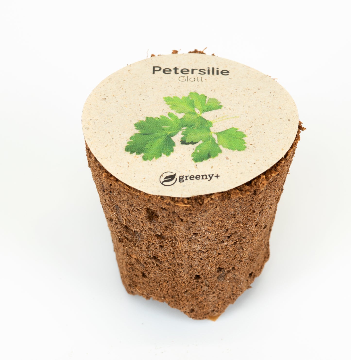 Petersilie Glatt 6er-Pack