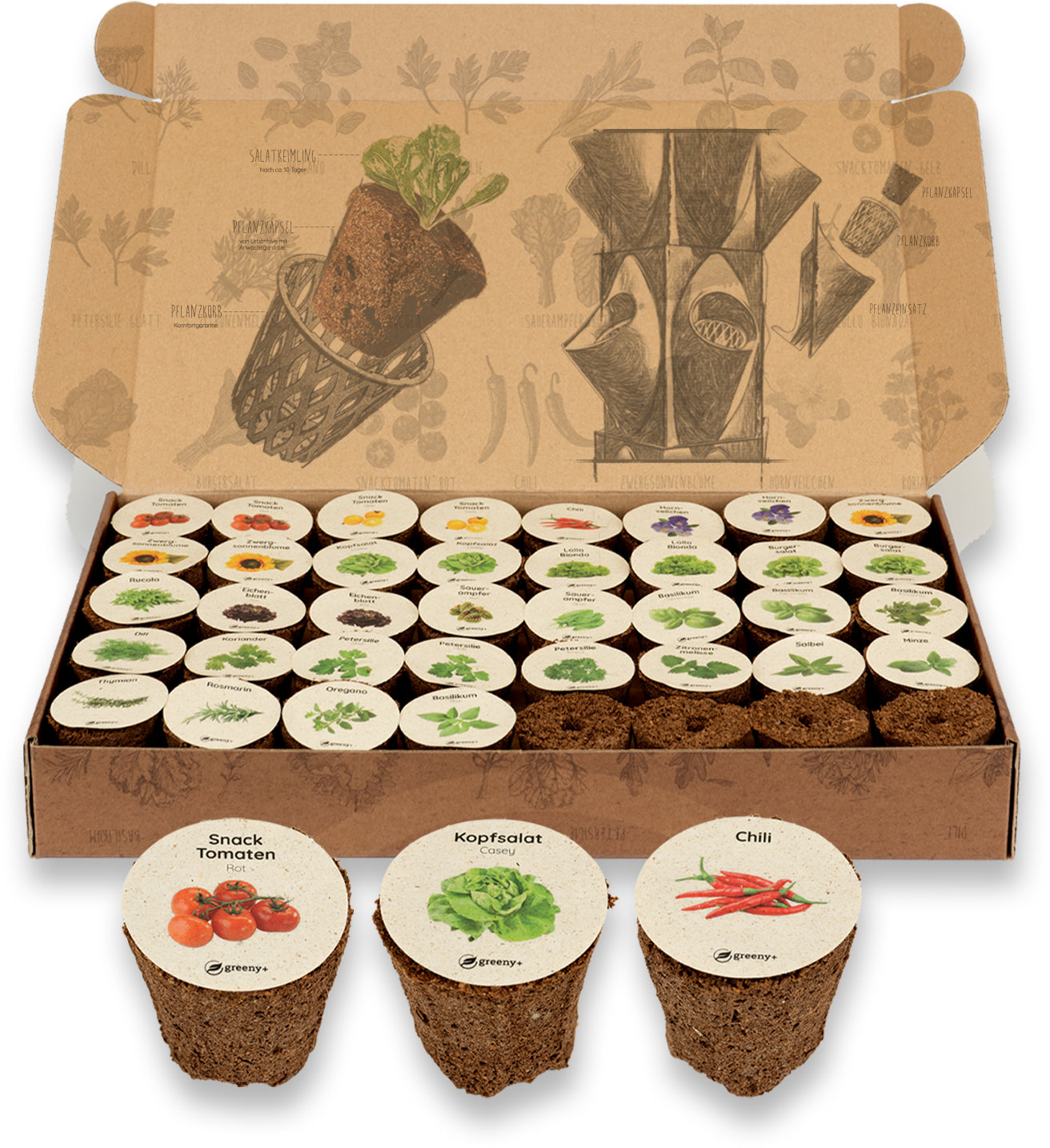 greenySEED BOX