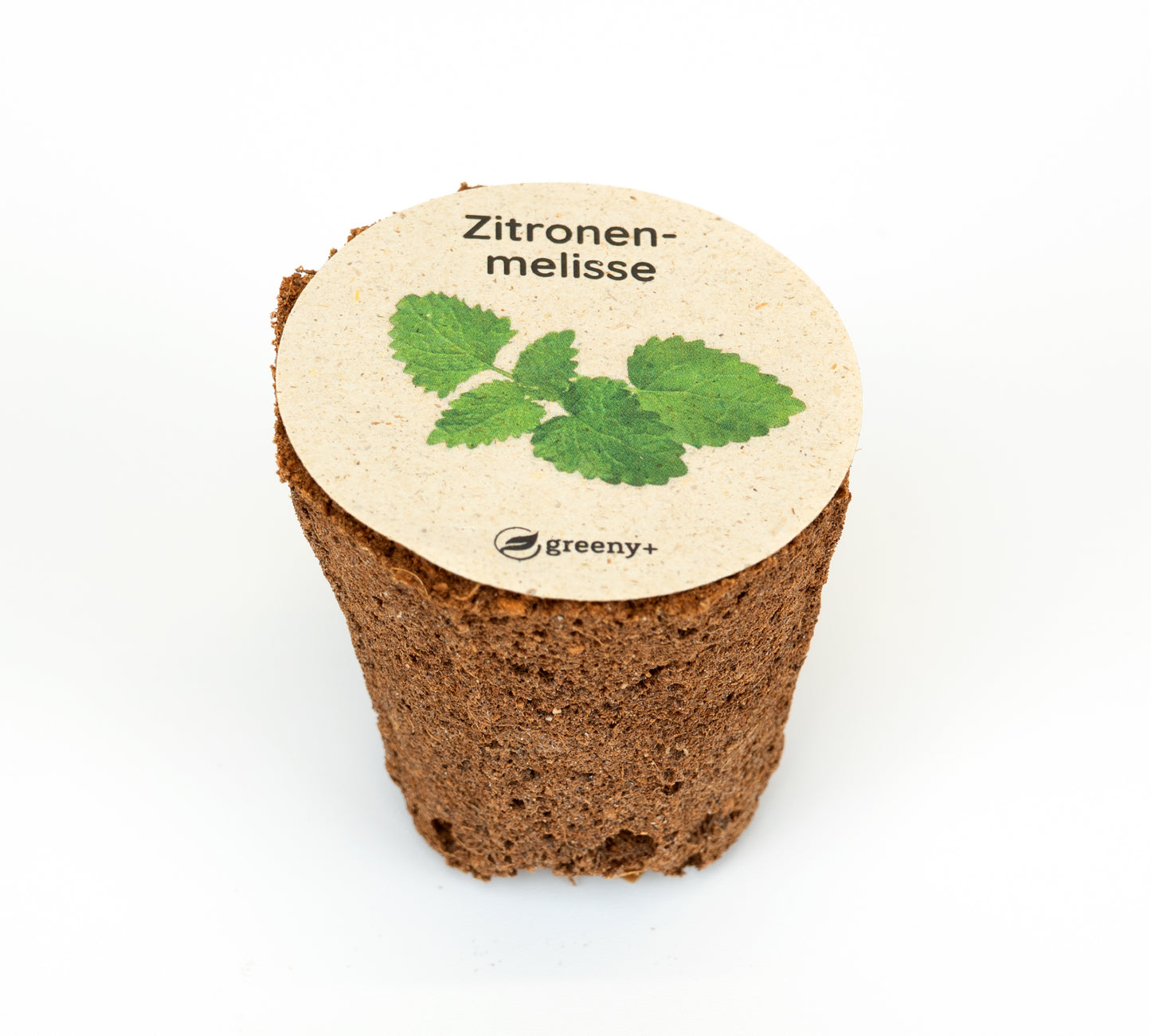 Zitronenmelisse 6er-Pack