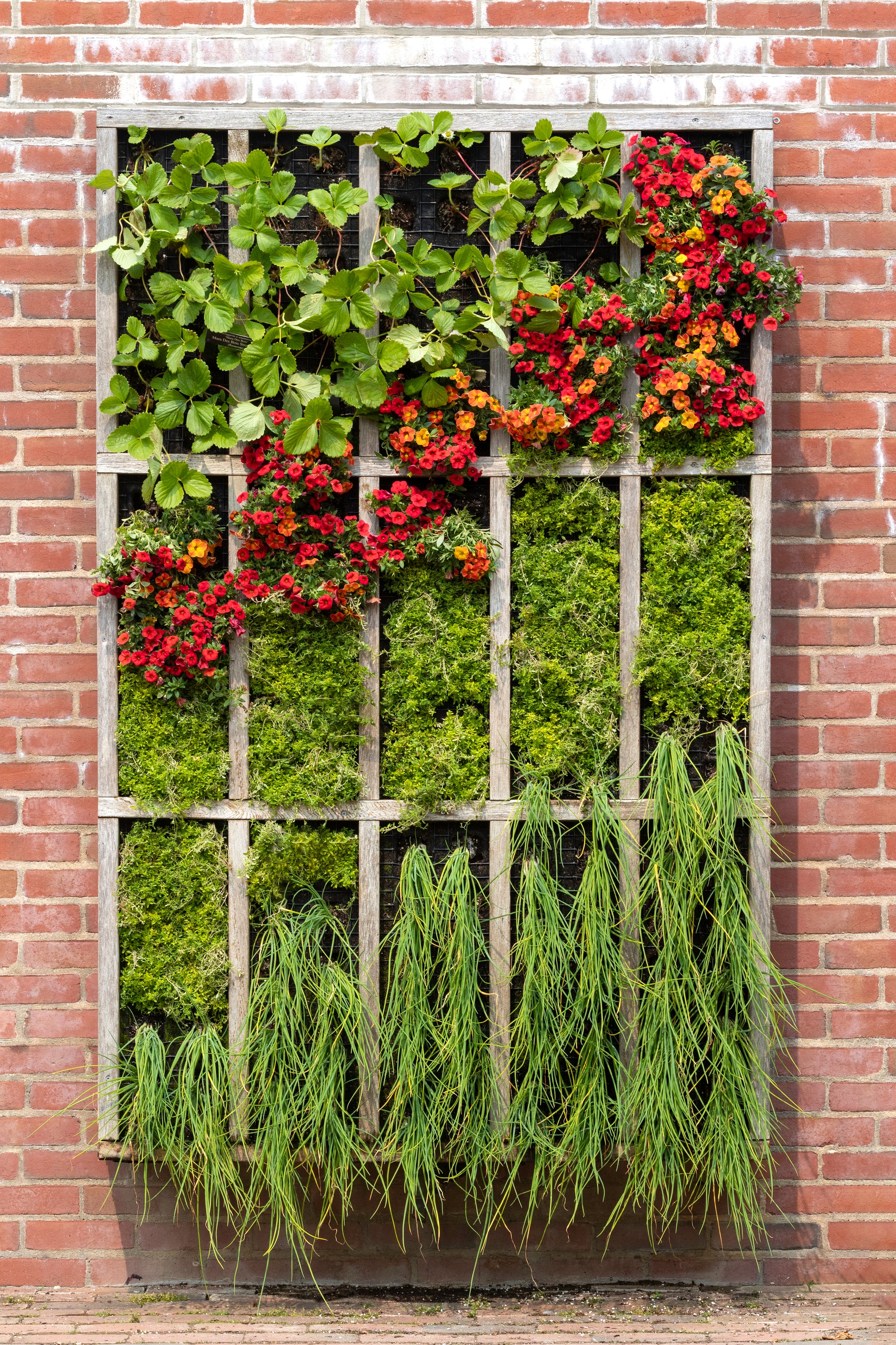 Vertikaler Garten mit bunter Bepflanzung an der Hauswand