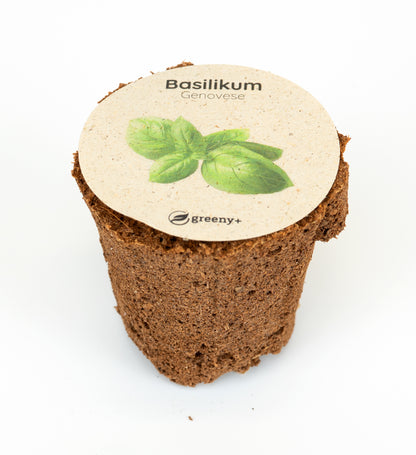 greenySEED BOX