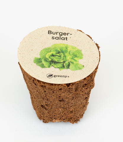 greenySEED BOX