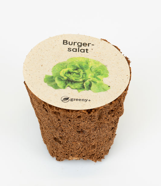 Burgersalat 6er-Pack