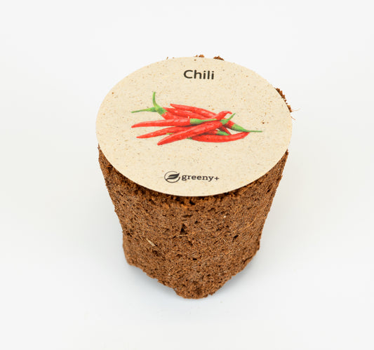 Chillis 6er-Pack