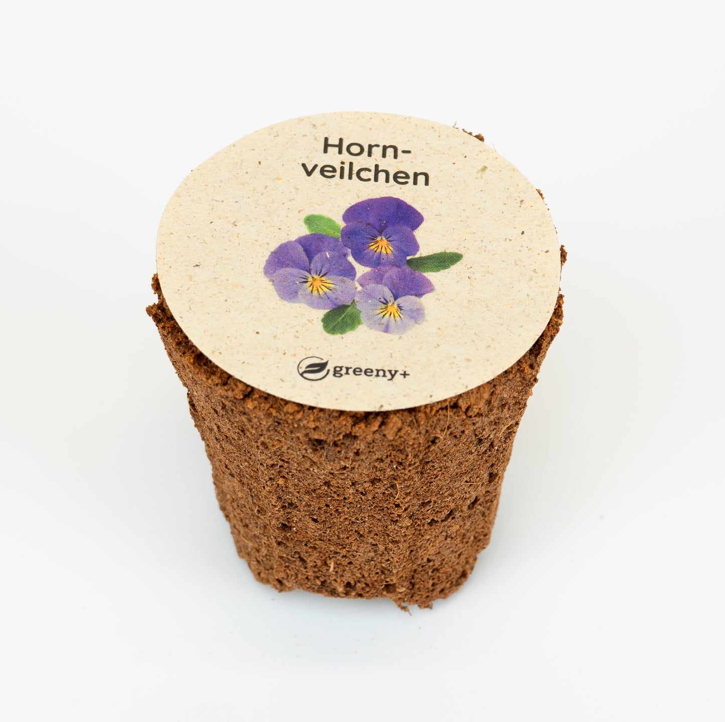 greenySEED BOX