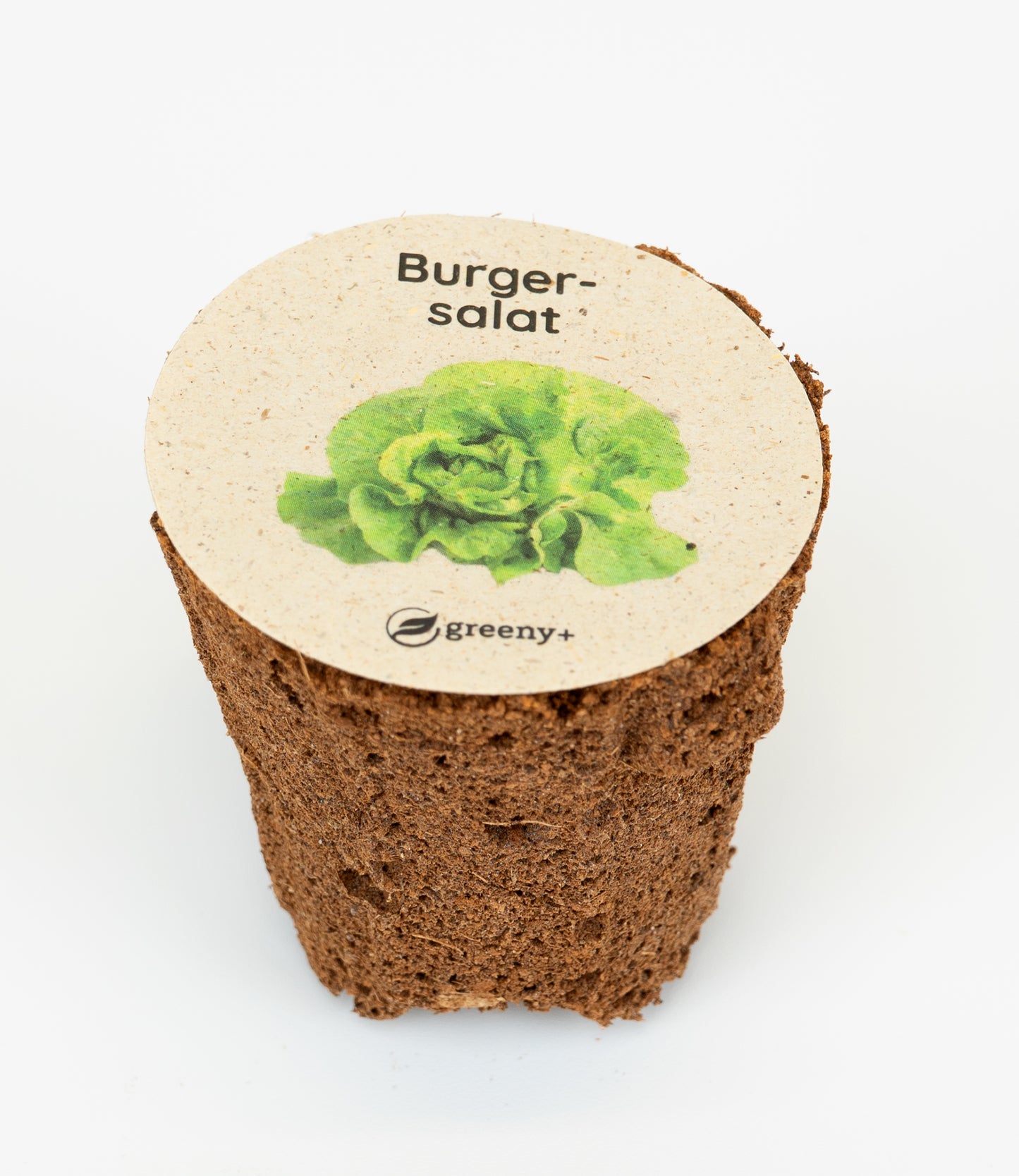 greenySEED BOX