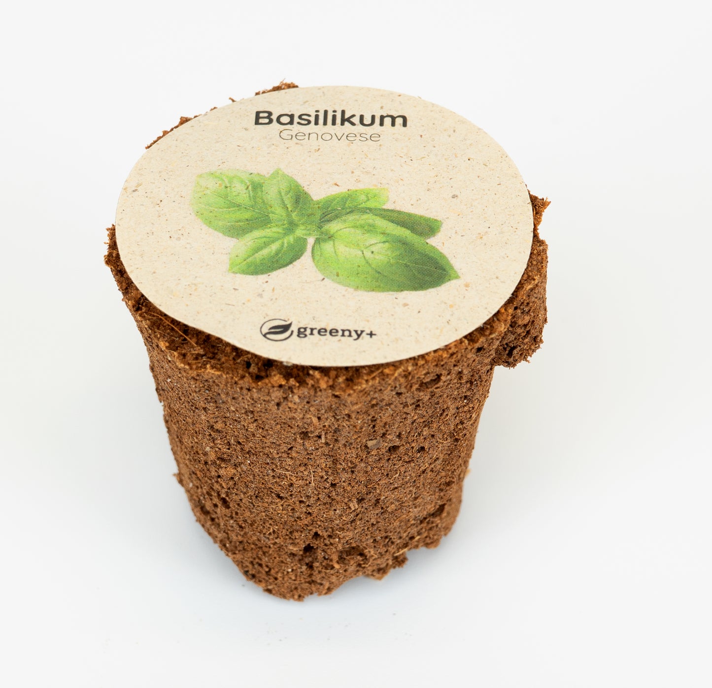 greenySEED BOX