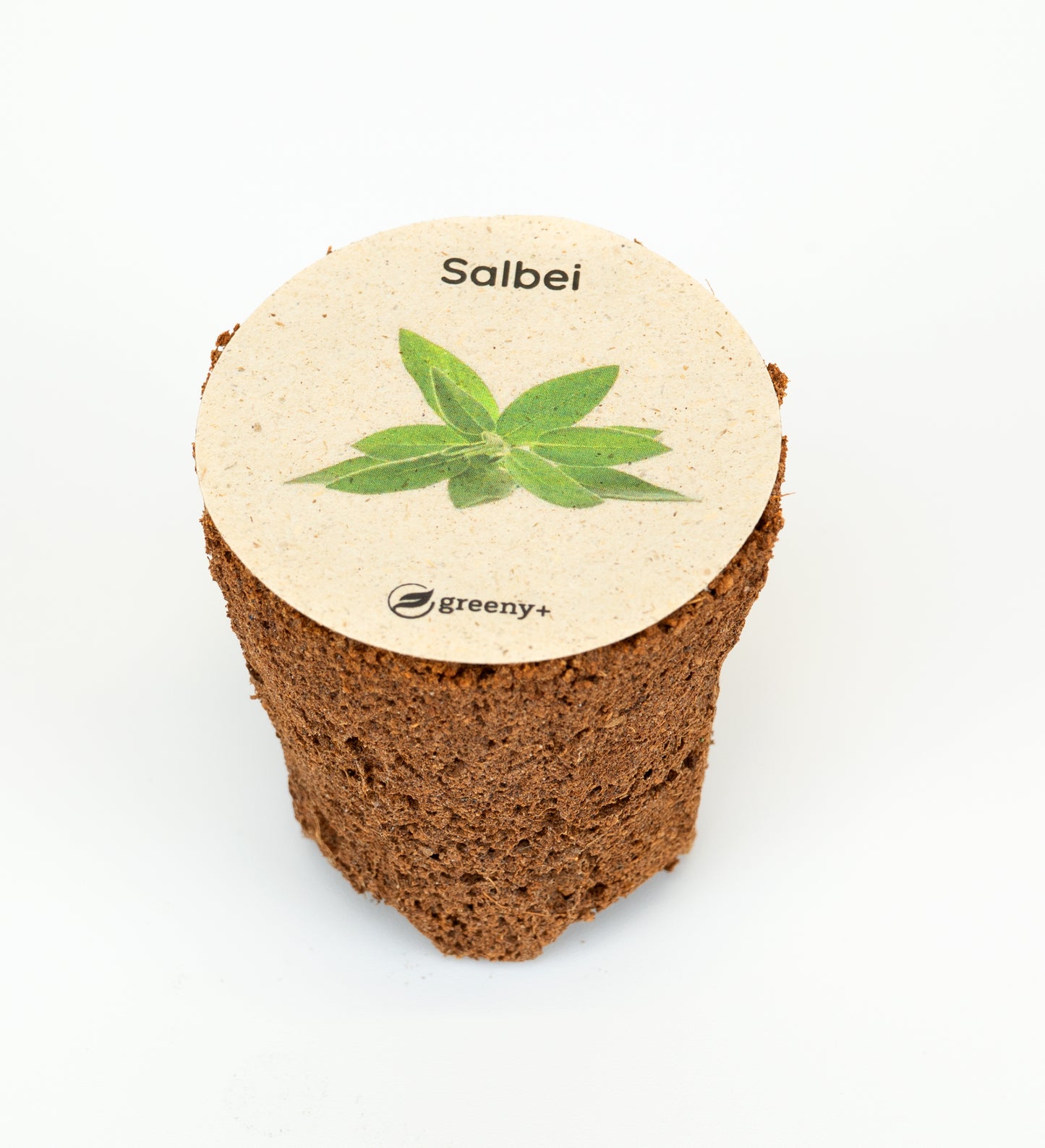 greenySEED BOX