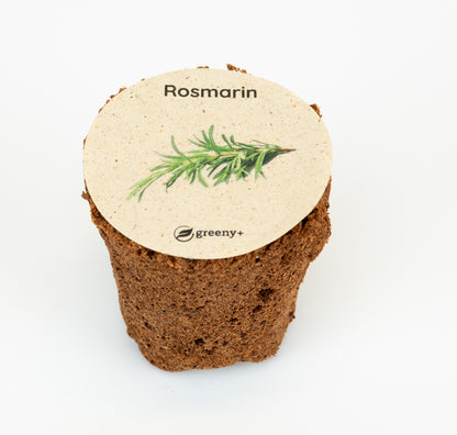greenySEED BOX