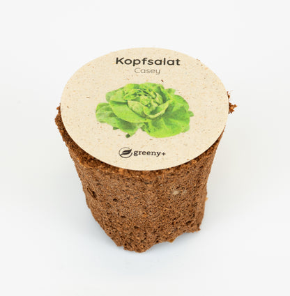 greenySEED BOX