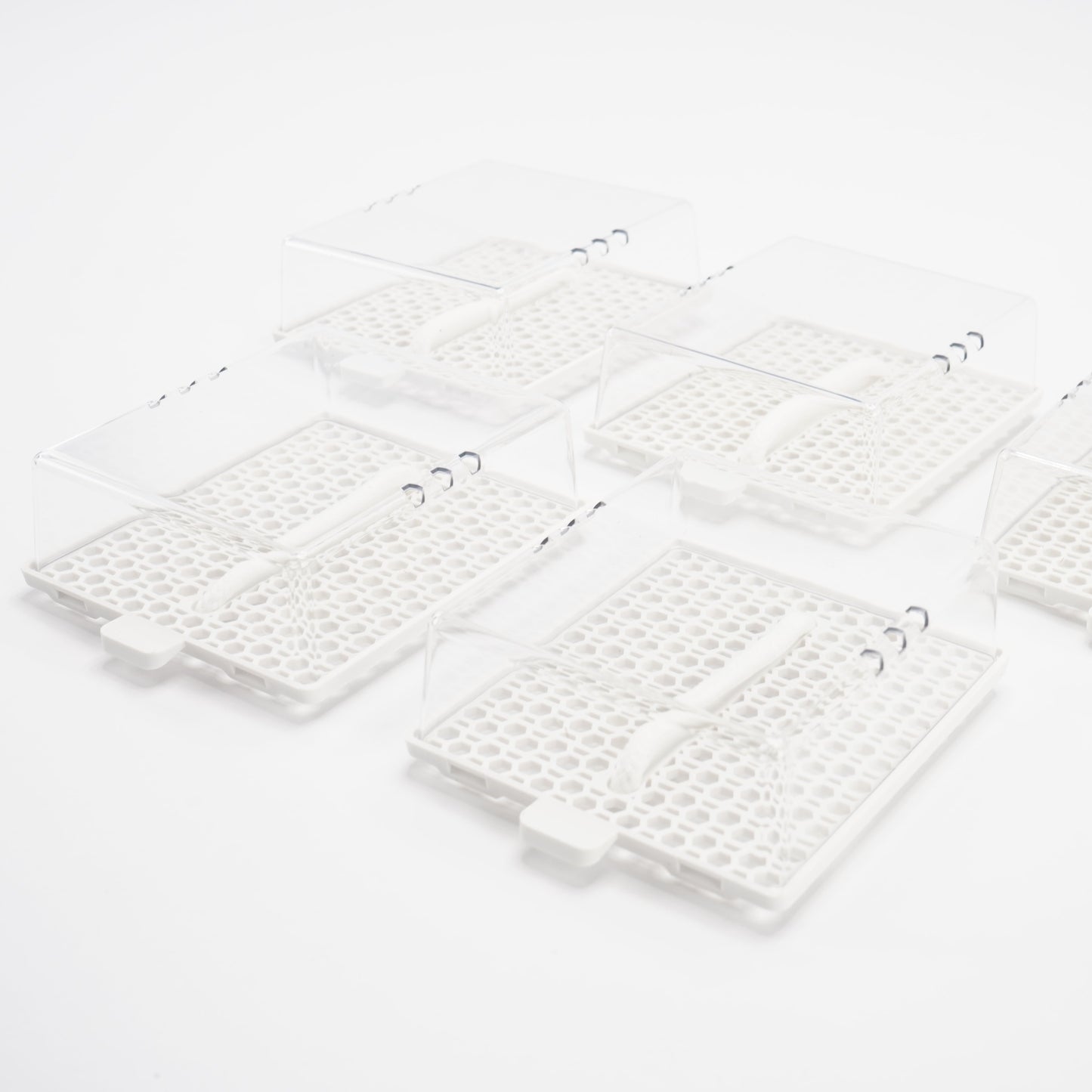 Microgreen-Trays 5er