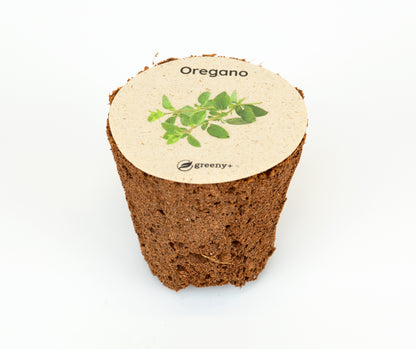 greenySEED BOX