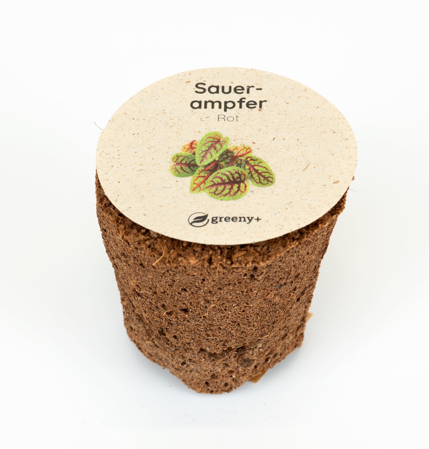 greenySEED BOX