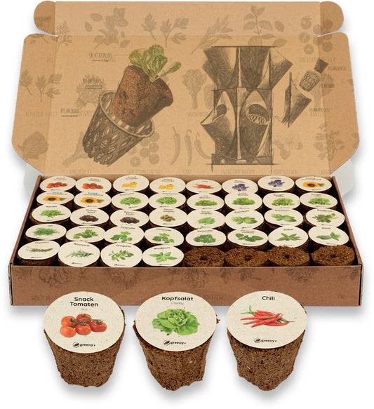 greenySEED BOX