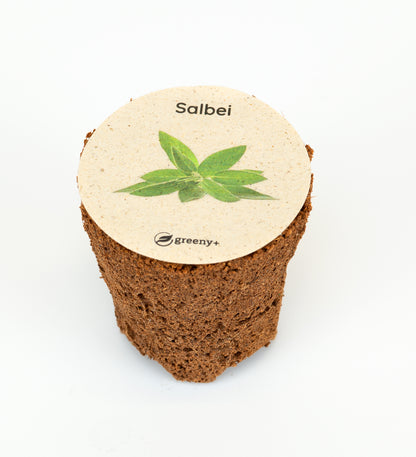greenySEED BOX