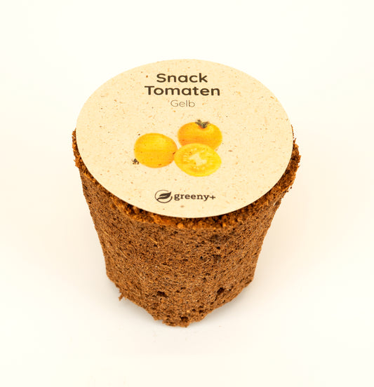 Snack Tomate Gelb 6er-Pack