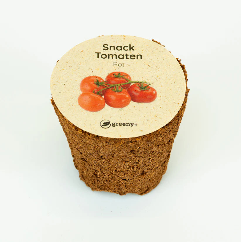 Snack Tomate Rot 6er-Pack